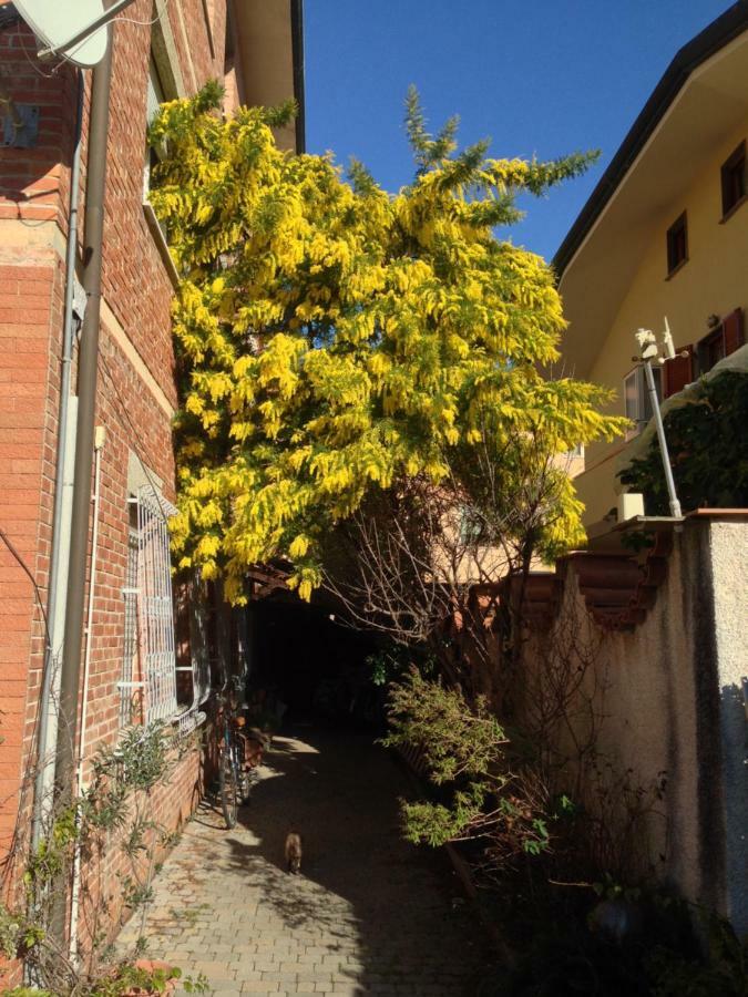 Apartamento Casa Mimosa Viareggio Exterior foto